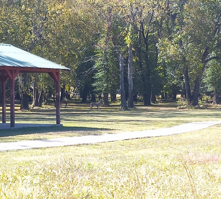 Grove Springs Park (Grove,&nbspOK)